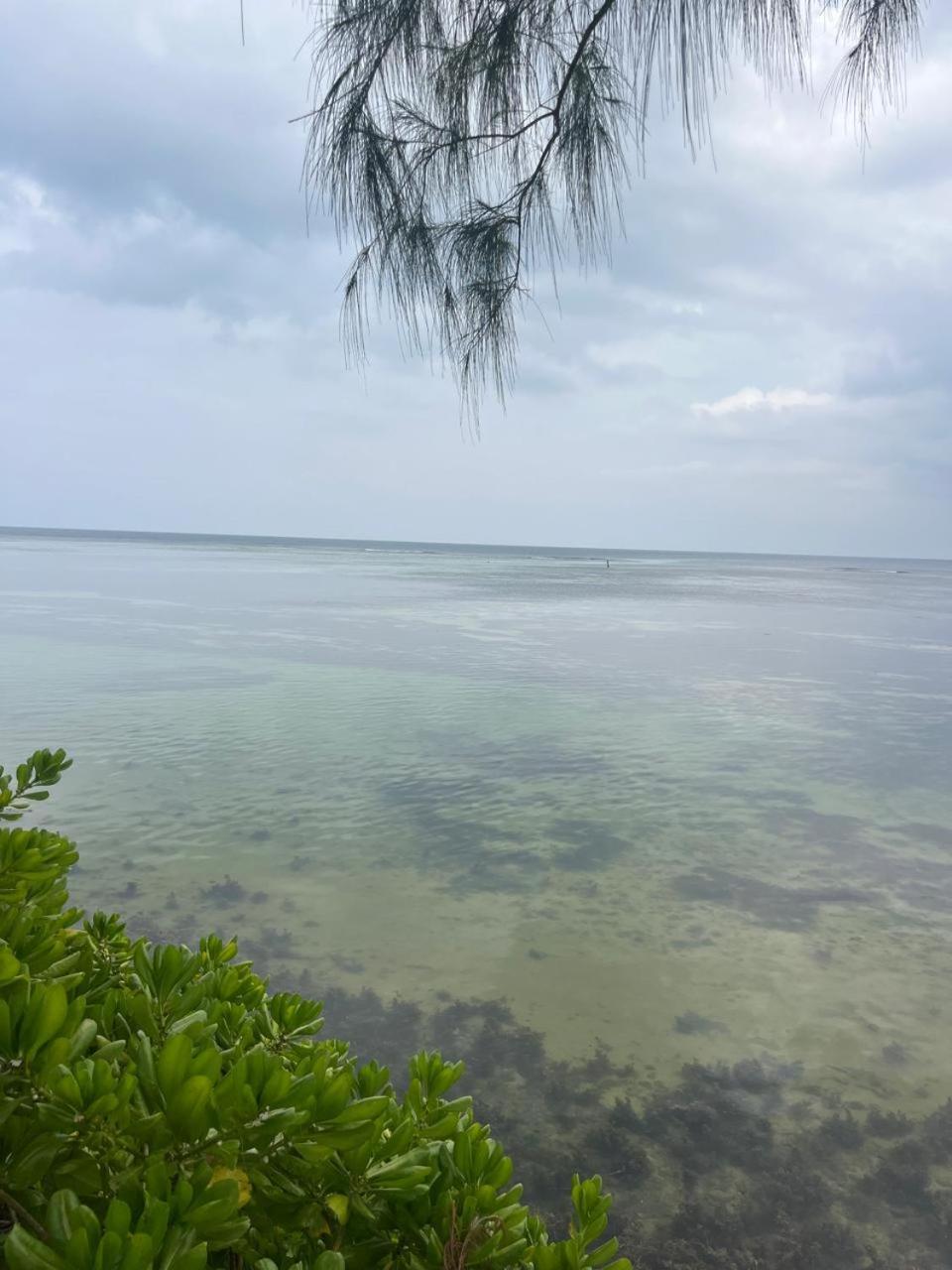 Le Chateau Bleu Anse aux Pins Exterior foto